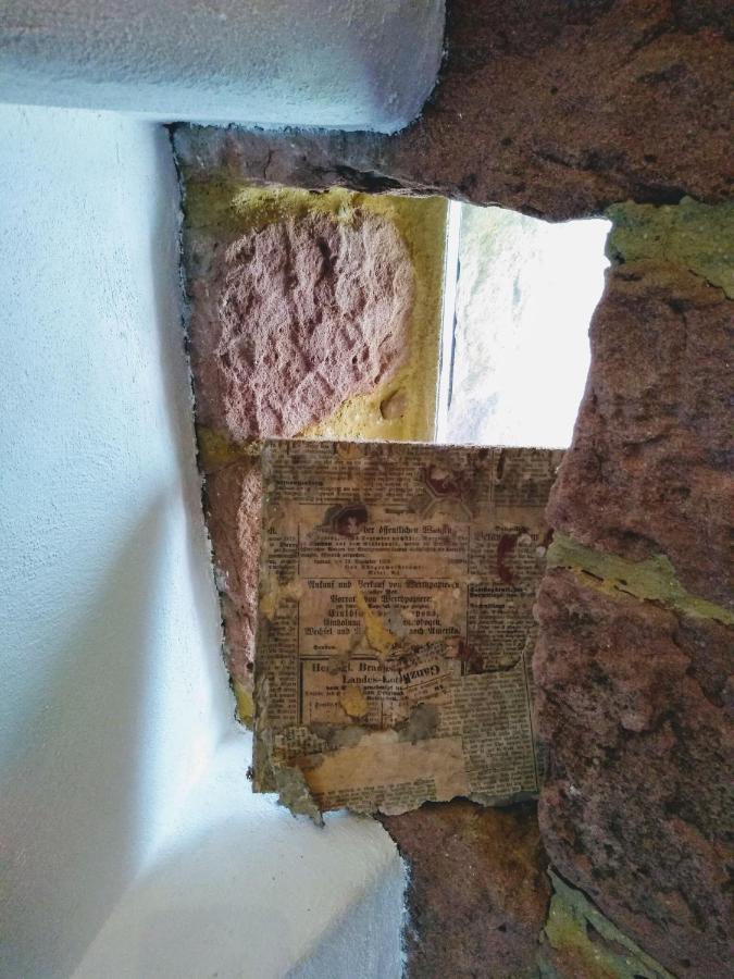 Ferienwohnung Oase der Geborgenheit Venningen Exterior foto