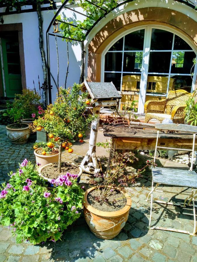 Ferienwohnung Oase der Geborgenheit Venningen Exterior foto